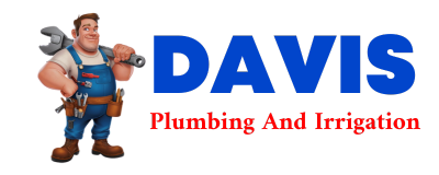 Trusted plumber in CEDARS